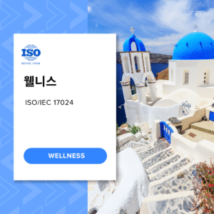 웰니스