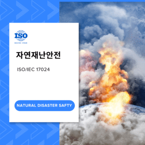 자연재난안전